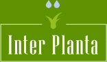 Inter Planta