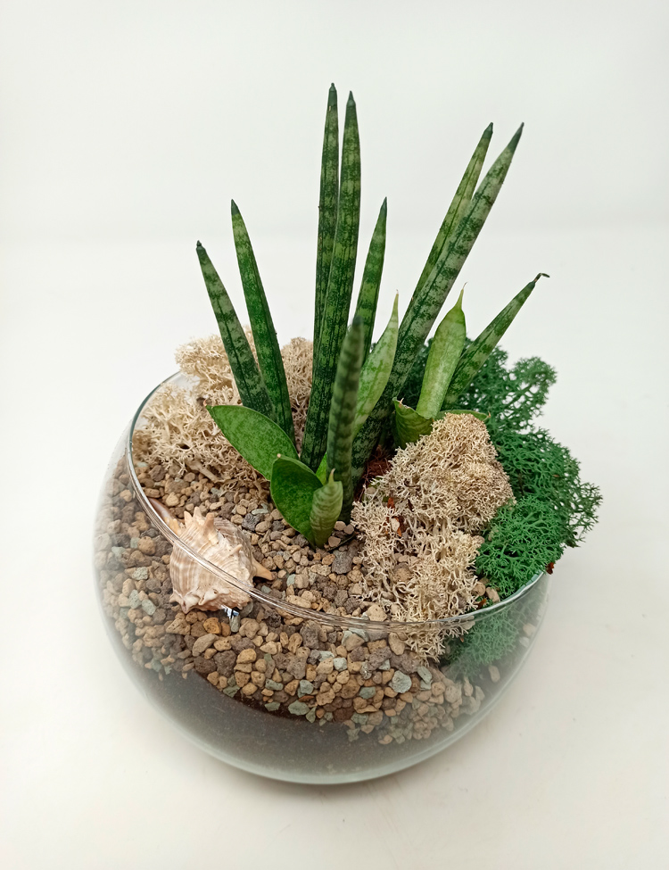 Esfera-Sanse_620 Esfera Sanse