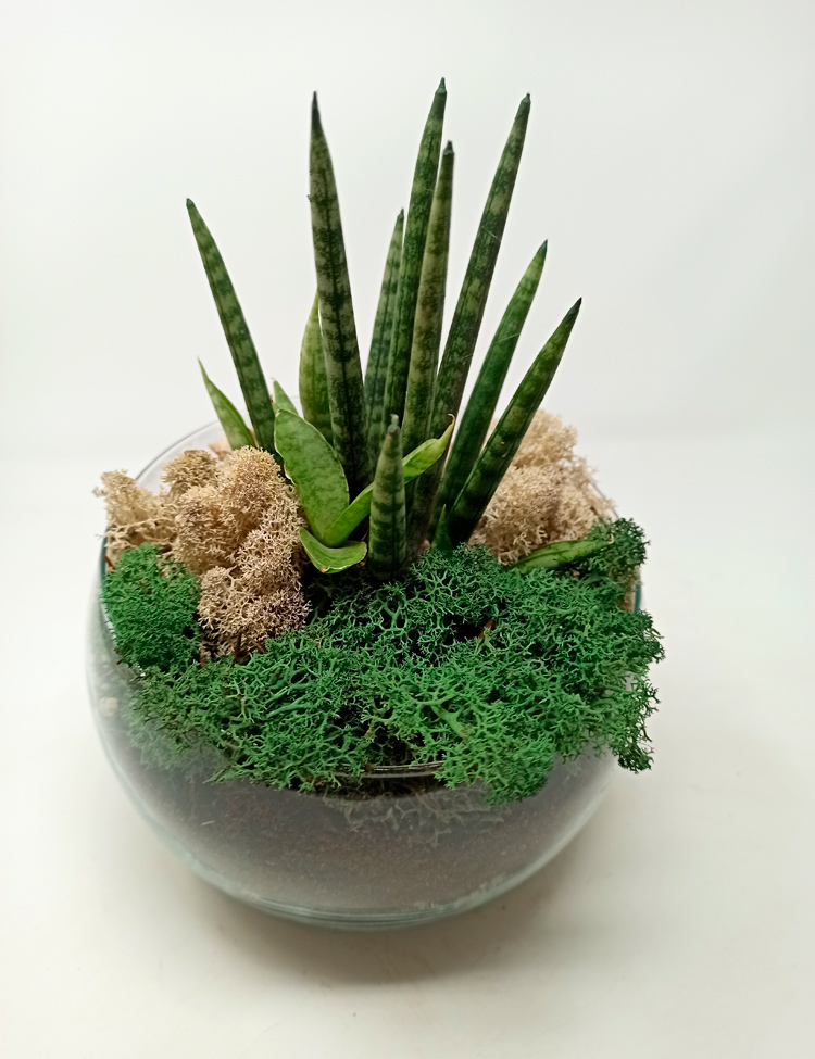 Esfera-Sanse_643 Esfera Sanse