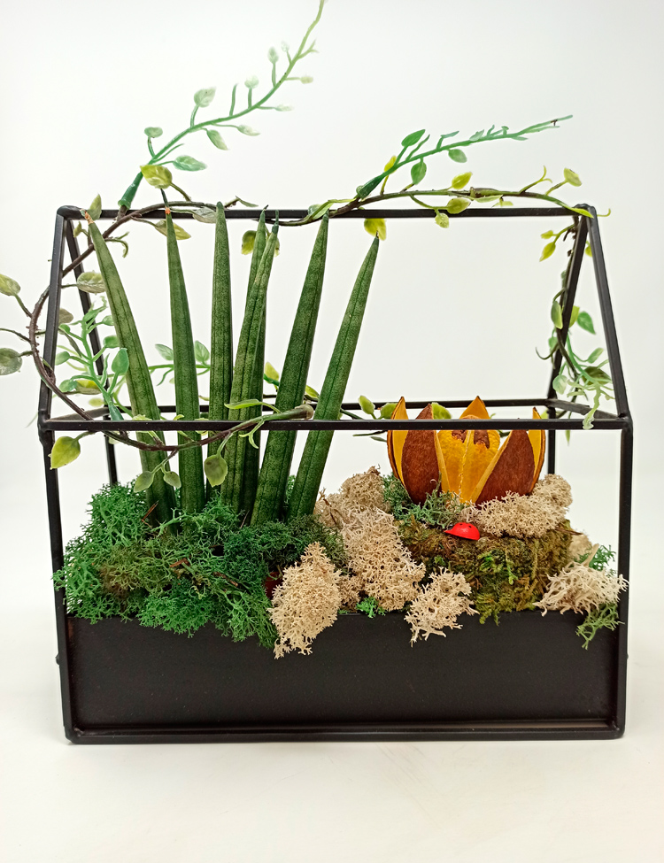 Invernadero-Class_582