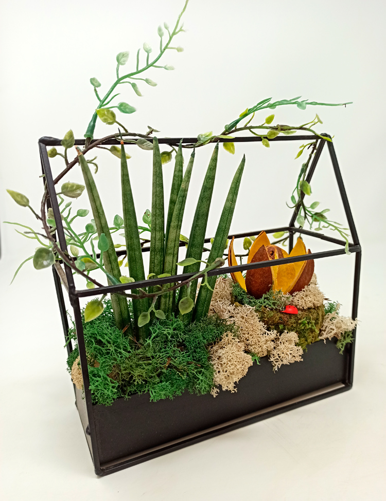 Invernadero-Class_609 Invernadero Class Cylindrica