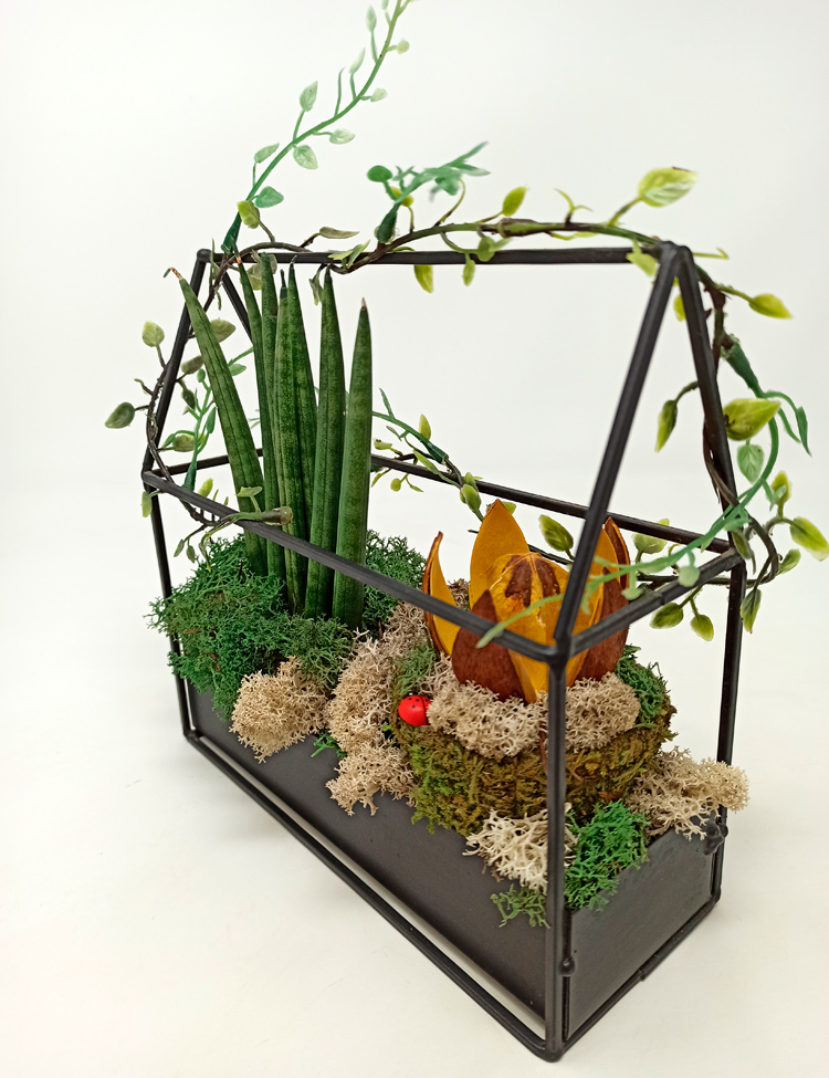 Invernadero-Class_618 Invernadero Class